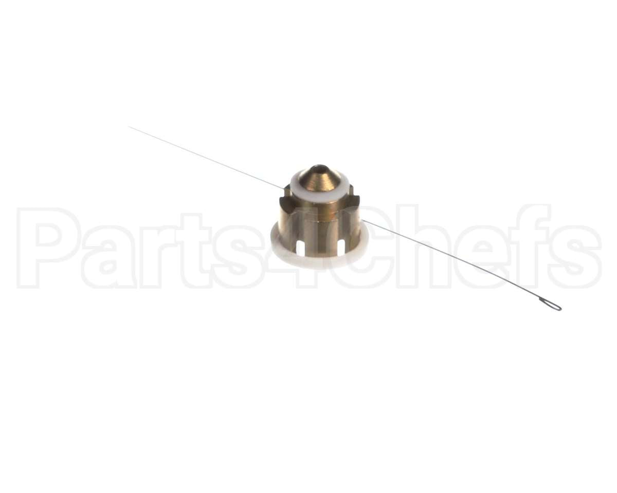 B1789874 Goodman Flow Check Piston