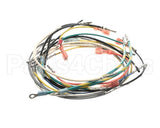 B6713901-C Pitco Wiring,Entr Box 18Wks Pilot 115V