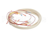 B6723601-C Pitco Wiring,Harness Fr Panel Pg14D-M