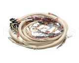 B6728101 Pitco Wiring,Control Fv Adv
