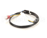B6745502 Anets Wiring,Hi Lim 24Vac Sg