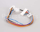 B6746601 Pitco Wiring,Relay Brd To Bkup Control Sg