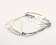 B6747101 Pitco Wiring,Spinal Tap Lwr W/Rel Brd S