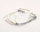 B6747101 Pitco Wiring,Spinal Tap Lwr W/Rel Brd S