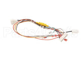 B6747501 Pitco Wiring,Relay Brd To Fast Sg6H