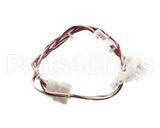 B6748901 Pitco Wiring,Harn B/L Sg14T