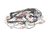 B6752401 Pitco Wiring,Control Lft/Sngl Meii