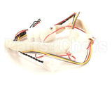 B6753001 Pitco Wiring,Raceway 24Rufm Dd