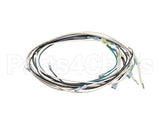 B6756101 Pitco Wiring,Mains To Transformer 440-480 Se18