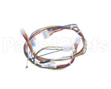 B6763301 Pitco Wire, Harness, P508