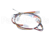 B6763301 Pitco Wire, Harness, P508