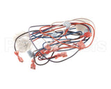 B6781001 Pitco Wiring,Single Control Pnl Mkgei