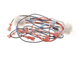 B6781001 Pitco Wiring,Single Control Pnl Mkgei