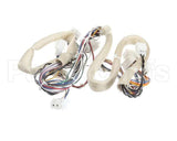 B6781501 Pitco Wiring,Spinal Tap Lwr Srtg