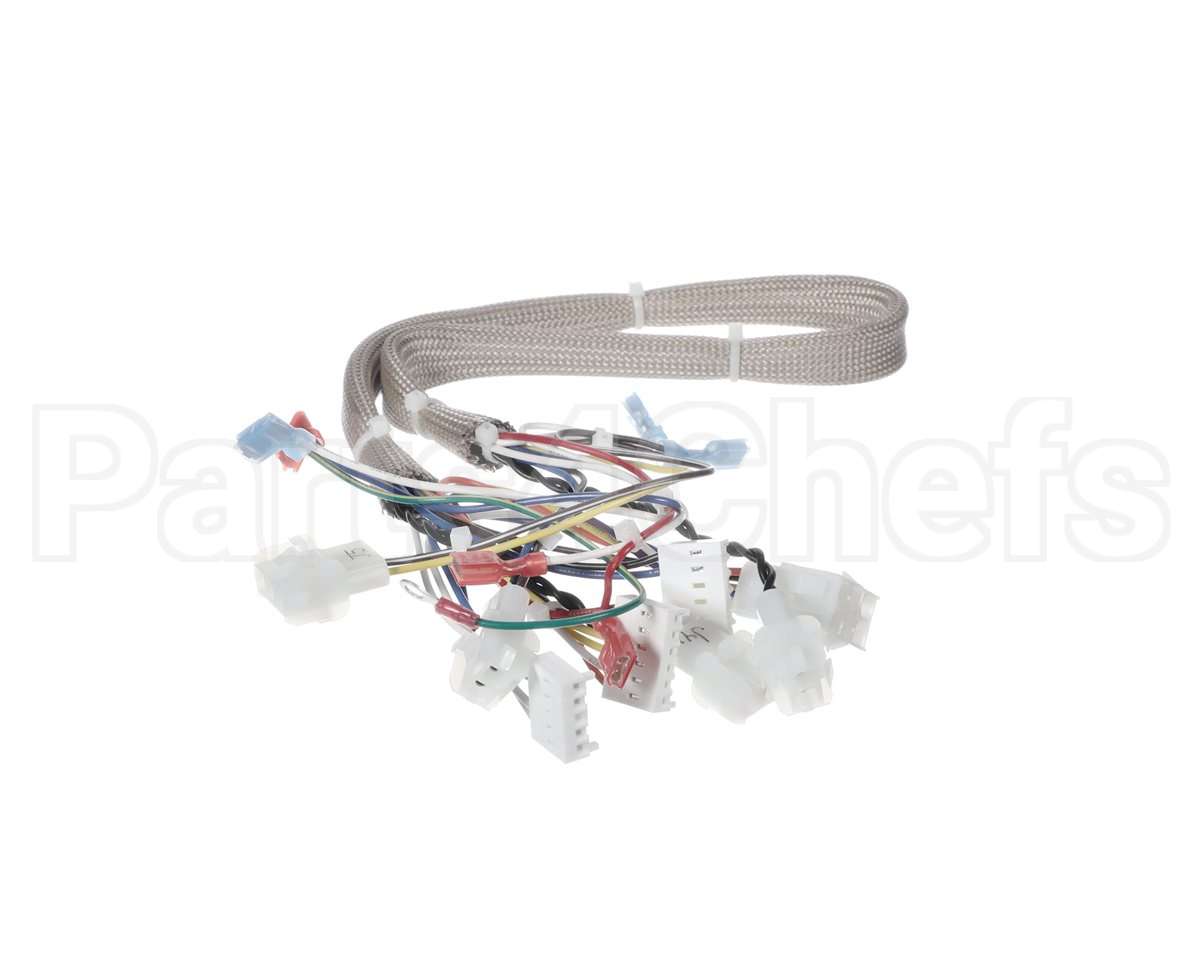 B6781901 Pitco Wrg, Lv Srte Harness