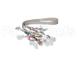 B6781901 Pitco Wrg, Lv Srte Harness