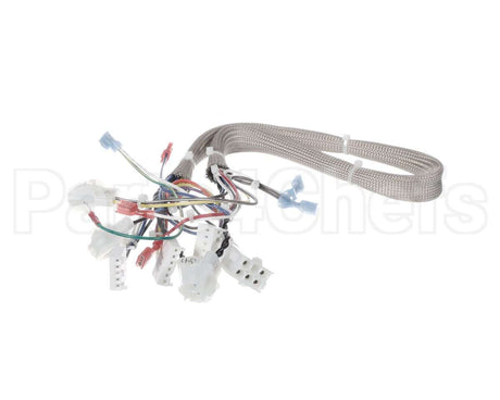 B6781901 Pitco Wrg, Lv Srte Harness