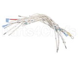 B6782301 Pitco Wrg, Hv 3Ph Wye Srte