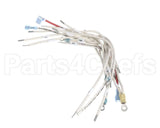 B6782301 Pitco Wrg, Hv 3Ph Wye Srte
