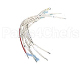 B6782301 Pitco Wrg, Hv 3Ph Wye Srte
