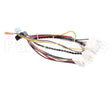 B6783201-C Pitco Wiring,Bzl Dig Cpi W/Dc Srtg