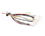 B6783201-C Pitco Wiring,Bzl Dig Cpi W/Dc Srtg