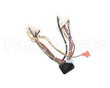 B6783201-C Pitco Wiring,Bzl Dig Cpi W/Dc Srtg