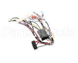 B6783202-C Pitco Wiring,Bzl Dig Cpi Au-On Dc Srtg