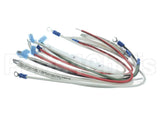 B6787701 Pitco Wiring,Hv 3Ph Sspe
