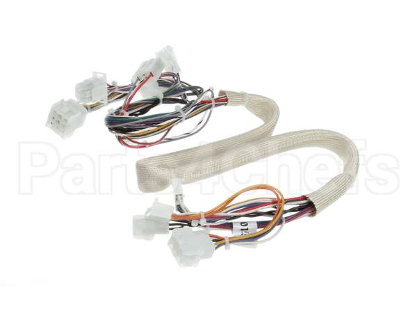 B6788101 Pitco Wiring,Spinal Tap Sspg