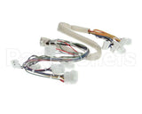 B6788101 Pitco Wiring,Spinal Tap Sspg