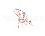 B6788301 Pitco Gpc W/Sstc Wiring