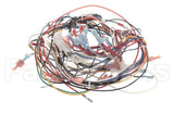 B6792601 Pitco Wiring,Gpc Digital W/Ei