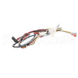 B6796201 Compatible Pitco Wrg, Bzl Cpi W/Dc Tb-Srt