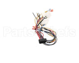 B6796201 Pitco Wiring,Bzl Cpi W/Dc Tb-Srt