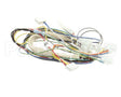 B6796301 Pitco Wiring,Power Control Box Tb-Srtg Lh
