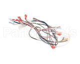 B6796401 Pitco Wiring,Control Box Tb-Srtg
