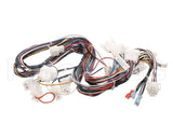 B6803601 Pitco Wiring,Control Single Sshlv