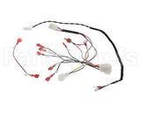 B6811701 Pitco Wrg,Gas Valve & Ign Sglvrf