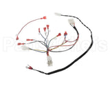 B6811701 Pitco Wrg,Gas Valve & Ign Sglvrf