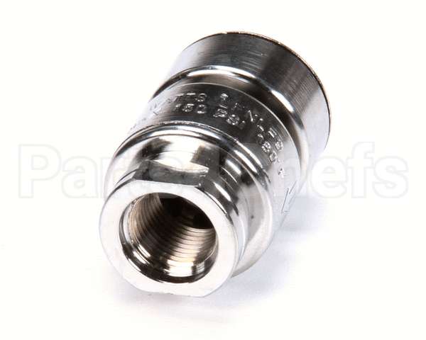 BL-5550-09 T&S Brass Vacuum Breaker, Anti-Siphon, 3/8 Npt Mal