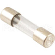 BL61615 Compatible Blodgett Fuses, F5/F6 8A 2 Pcs