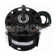 BL6409 Century Oem Replacement Motor
