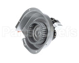 BLW01310 Trane Blower, Inducer, 208/230/60/1, 3480 Rpm,