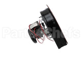 BLWR-240-50 Food Warming Blower Assembly 240V, 50Hz