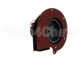 BLWR-240-50 Food Warming Blower Assembly 240V, 50Hz