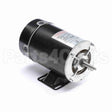 BN25V1 Century Pool And Spa Pump Motor