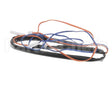 BS1C152 Turbo Air Sensor For Tbr