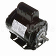 C196LA Century Fan And Blower Motor