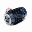 C361A Marathon Motor